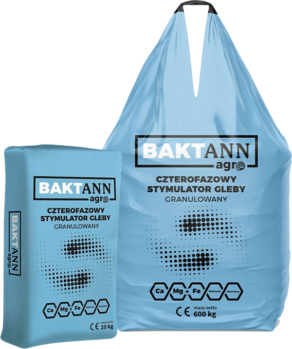 Baktann